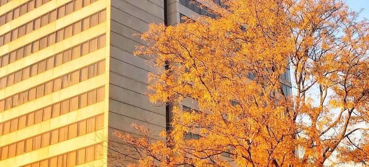 堪萨斯城奥佛兰公园希尔顿逸林酒店(DoubleTree by Hilton Kansas City - Overland Park)图片