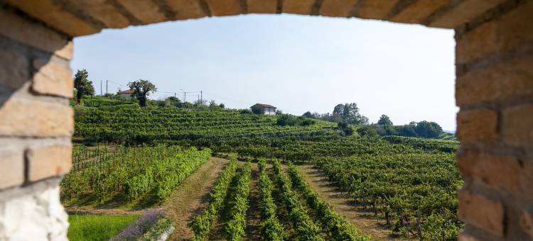 Casa Valdo乡村别墅(Casa Valdo Country House)图片