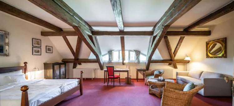 卢多夫罗曼蒂克酒店(Romantik Hotel Gutshaus Ludorf)图片