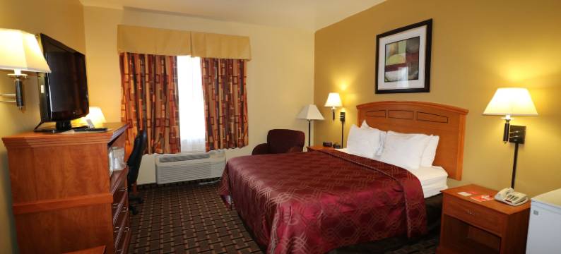 拉伯克I-27伊克诺旅馆(Econo Lodge Lubbock I-27)图片