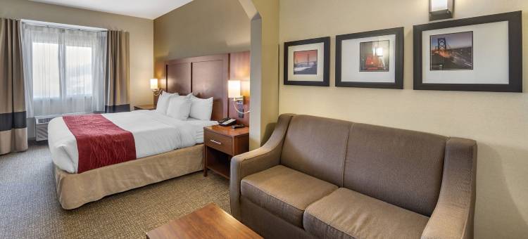 中庭酒店(The Atrium Hotel - SFO Airport Free! - Shuttle Bus - Parking - Wifi)图片
