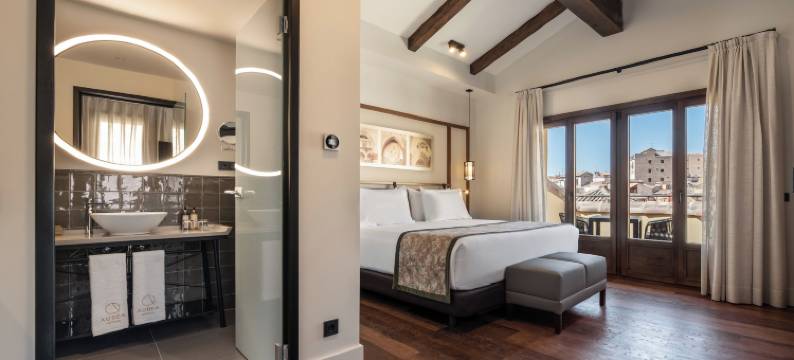 奥雷亚托莱多(Áurea Toledo by Eurostars Hotel Company)图片