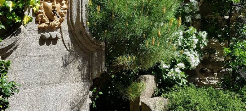 奥可布勒酒店(Au Coq Bleu)图片