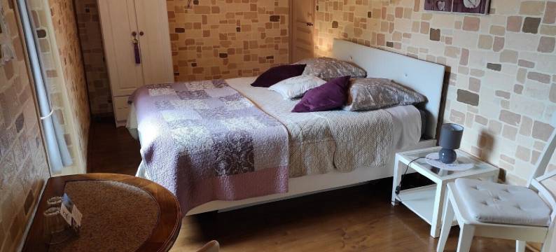 奥克洛斯里特住宿加早餐旅馆(Chambres d'Hôtes Au Clos du Lit)图片