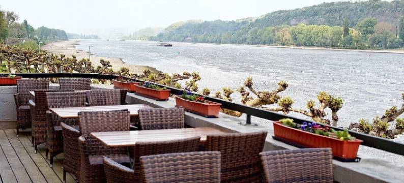 莱茵河四季旅馆巴德布赖西格(Rheinhotel Vier Jahreszeiten Bad Breisig)图片