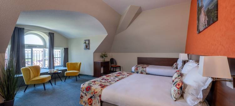 瓦勒-维涅酒店(Hôtel Val-Vignes Colmar Haut-Koenigsbourg, the Originals Relais)图片