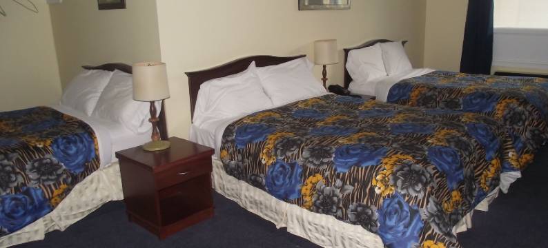 皇后套房酒店 - 瀑布(Empress Inn and Suites by the Falls)图片