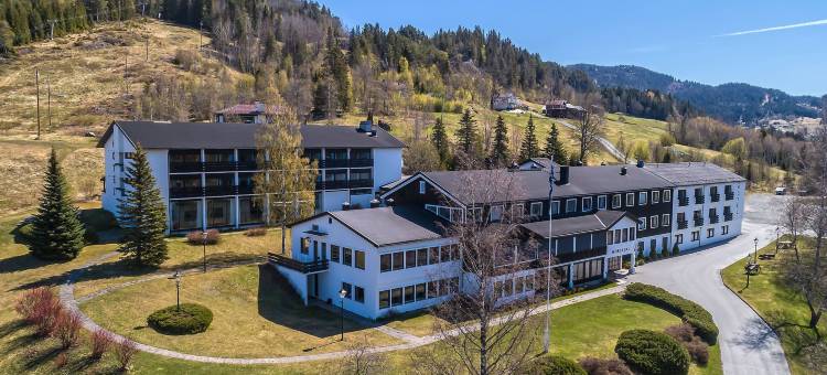 莫格达尔酒店(Morgedal Hotel - Unike Hoteller)图片