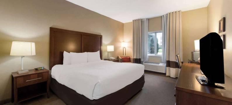 东维奇塔舒适酒店(Comfort Inn East)图片