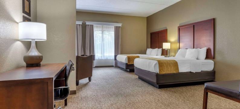 莫克斯维尔 I-40 舒适套房酒店(Comfort Inn & Suites Mocksville I-40)图片