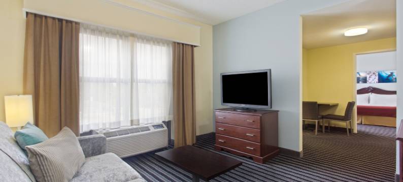 Holiday Inn Express & Suites CLEARWATER北/达尼丁(Holiday Inn Express & Suites CLEARWATER NORTH/DUNEDIN by IHG)图片