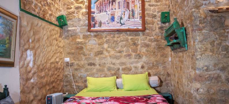 突尼斯的肯萨之家(Dar Kenza Tunis)图片