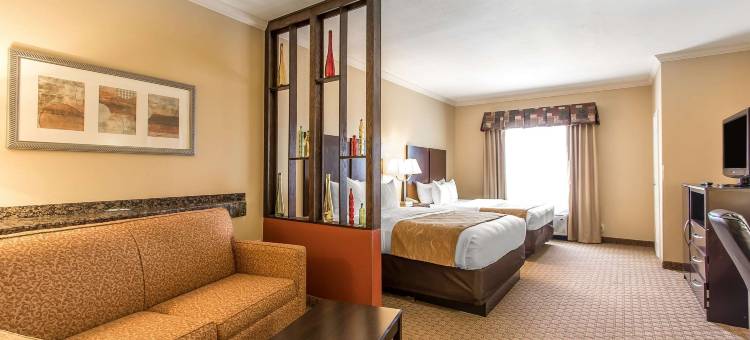 芙特席尔附近劳顿舒适全套房酒店(Comfort Suites Lawton Near Fort Sill)图片