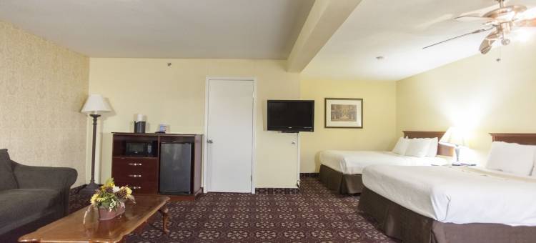 谢南多厄戴斯酒店(Days Inn by Wyndham Shenandoah)图片