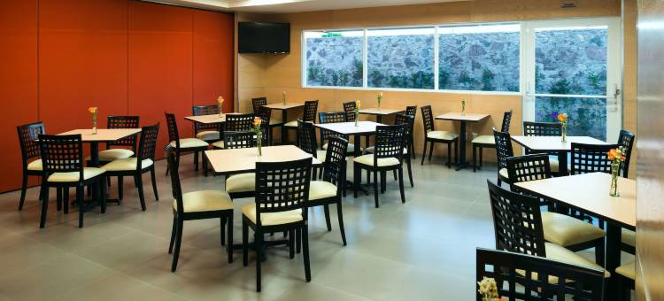 米西翁奎雷塔罗快捷酒店(Hotel Misión Express Querétaro)图片