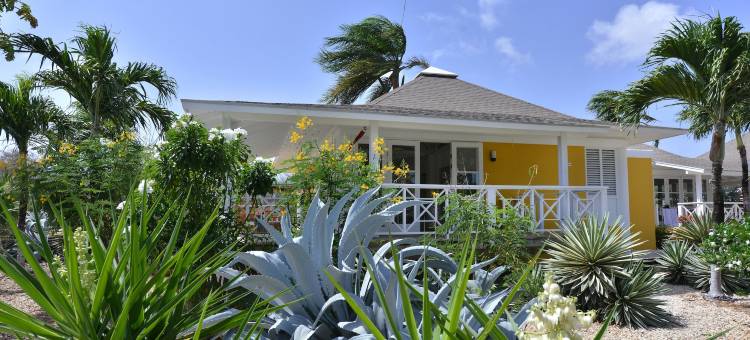 Chogogo潜水和海滩度假村库拉索(Chogogo Dive & Beach Resort Curacao)图片