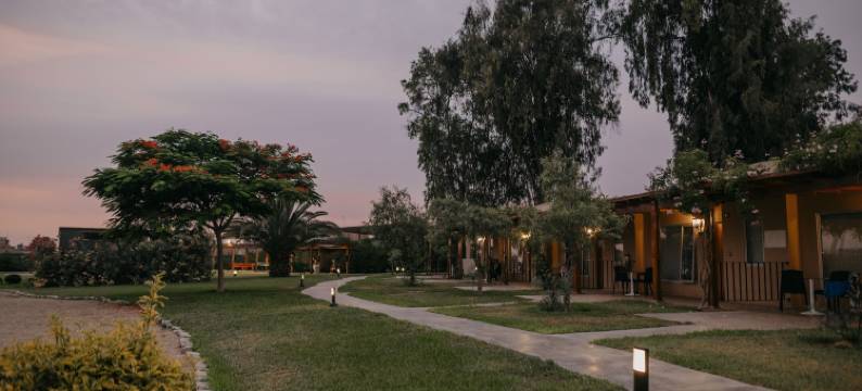 上钦查标准安迪纳民宿(Casa Andina Standard Chincha)图片