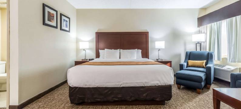 费斯特-南圣路易斯舒适酒店(Comfort Inn Festus-St Louis South)图片