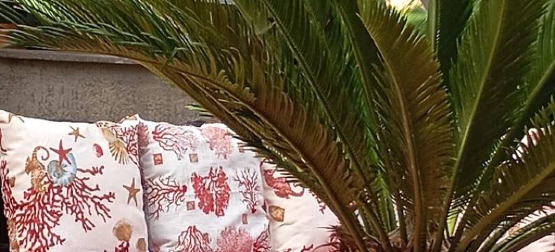 托托的家(B&B Casa di Toto)图片