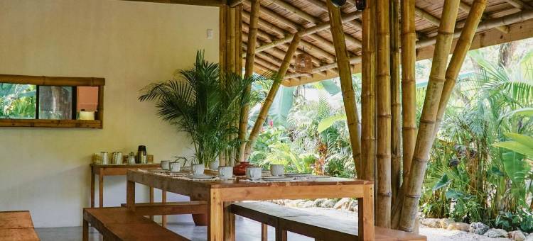圣特雷莎梦想冲浪之家(Dream Surf House Santa Teresa (Playa Hermosa))图片