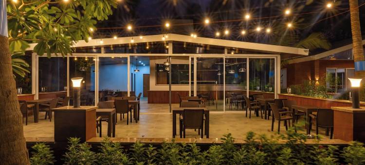 Mauli Stays 可可幸福(Coco Bliss by Mauli Stays)图片