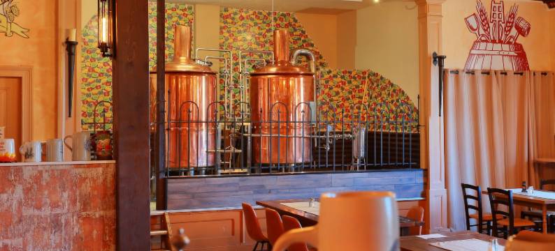 普瑞格尼泽尔霍夫啤酒屋乡村酒店(Landhotel & Brauhaus Prignitzer Hof)图片