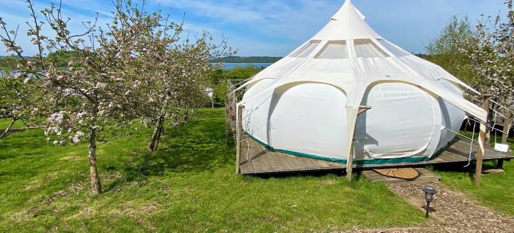 星光帐篷2(Stargazer Tent 2)图片