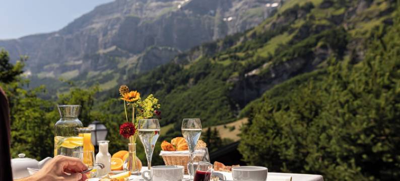 瓦尔德豪斯酒店(Hotel Restaurant Waldhaus)图片