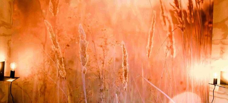 水上旅馆Blaupoatsje(Waterlodge Blaupoatsje)图片