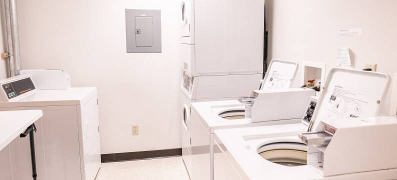 三角洲小屋(Delta Lodge)图片