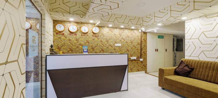 Treebo D Grand图片