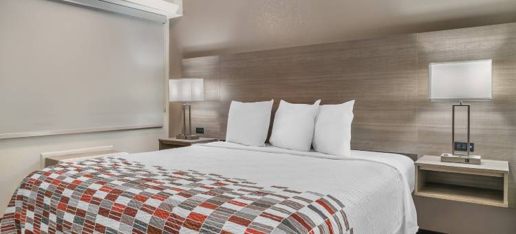 底特律梅特罗机场红顶酒店-泰勒(Red Roof Inn Detroit Metro Airport - Taylor)图片