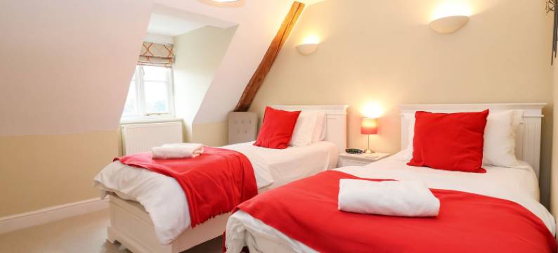 布莱思维的藏红花(Saffron, Blythview)图片