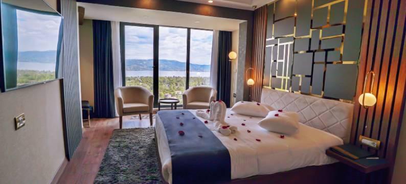 卡比尔豪华酒店(Cabir Deluxe Hotel Sapanca)图片