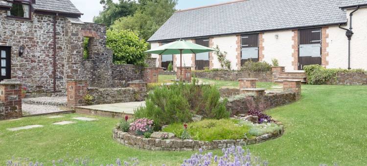 鹡鸰(Wagtail)图片