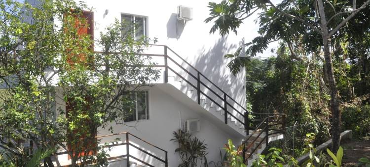 马里戈特棕榈华丽宾馆(Marigot Palms Luxury Guesthouse)图片