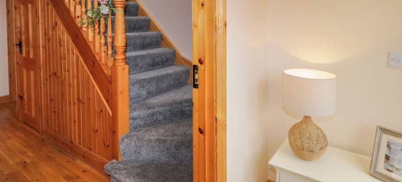 46 邓纳林(46 Dunalinn)图片