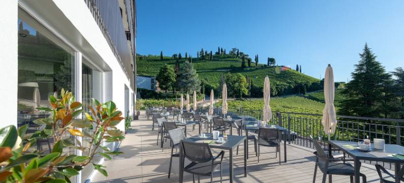 威努斯酒店(Vineus Tramin)图片