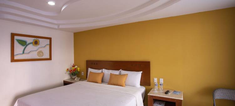 阿科斯机场酒店(Hotel Arcos Aeropuerto)图片