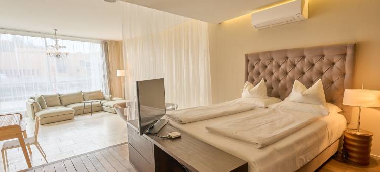 巴登利马索夫Spa酒店(Limmathof Baden - Historisches Haus & Spa)图片