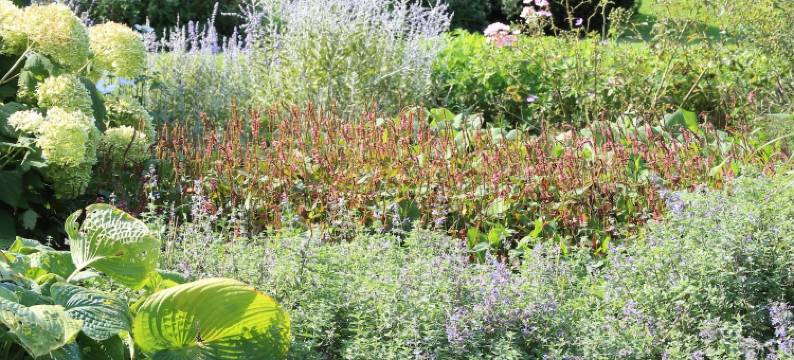 安塔芮丝住宿加早餐旅馆(B&B Antares)图片