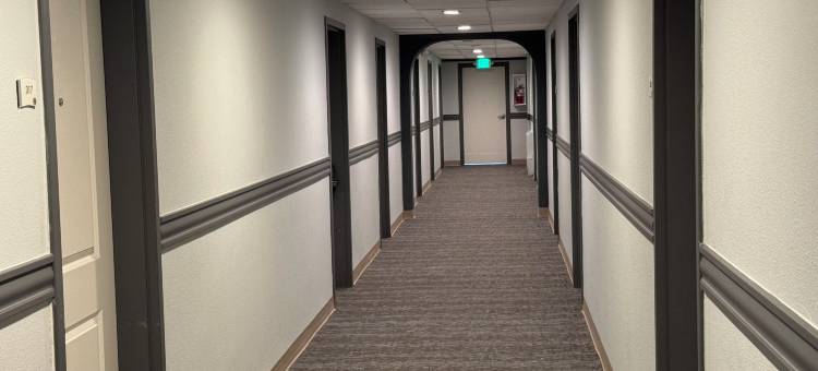 丹佛市中心凯艺酒店(Inn at the Highland Denver Downtown)图片