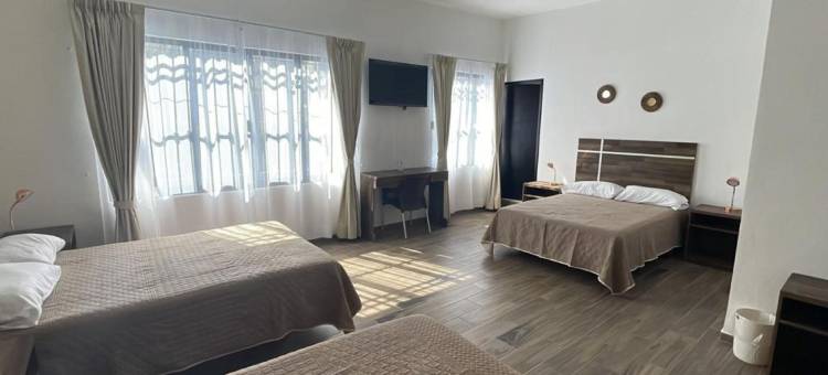 大都会O精品酒店Las Torres(Capital O Hotel Boutique Las Torres)图片