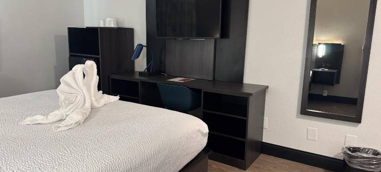 好莱坞6号汽车旅馆(Motel 6 Los Angeles Hollywood)图片