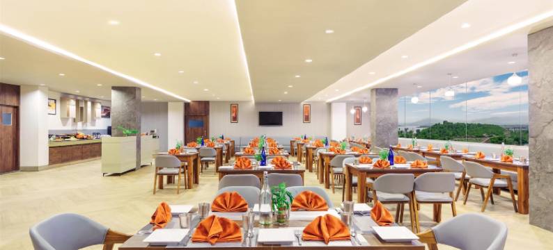 凯瓦迪亚团结雕像D广场酒店-丽笙臻选成员酒店(D Square Statue of Unity Kevadia, a member of Radisson Individuals)图片