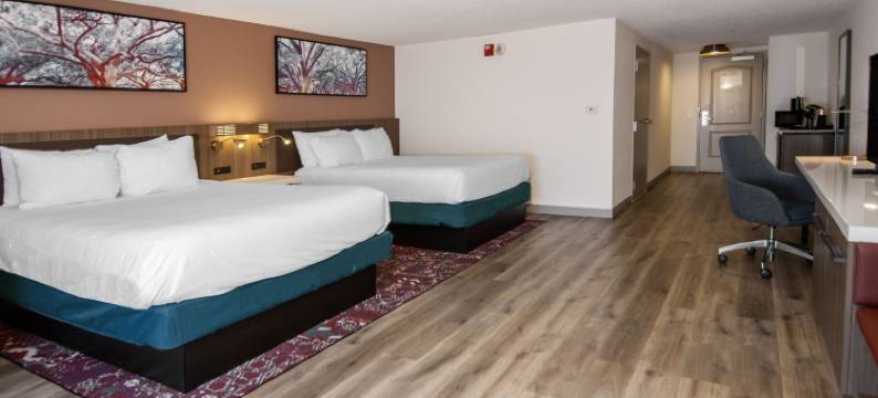 哈蒂斯堡希尔顿花园酒店(Hilton Garden Inn Hattiesburg)图片