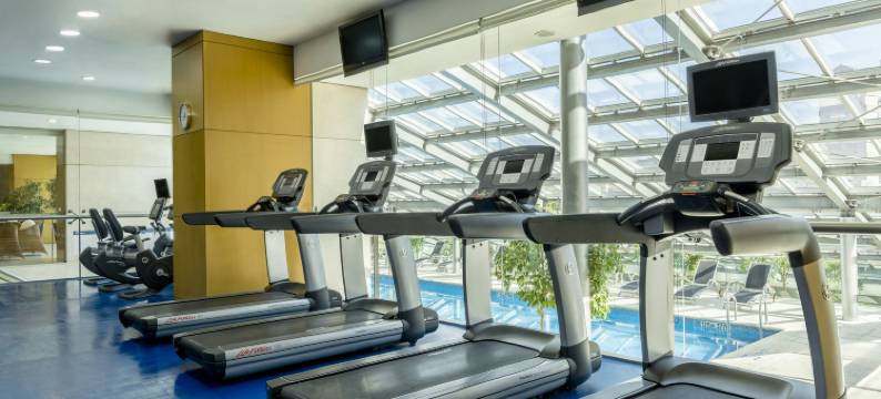 门多查喜来登酒店(Sheraton Mendoza Hotel)图片