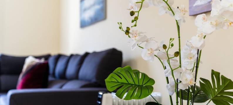 GuestReady – Charming Getaway by Madeira's Nature图片