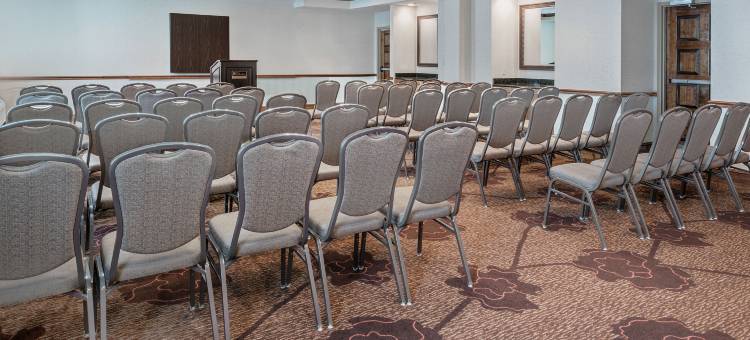 圣市机场希尔顿花园酒店(Hilton Garden Inn San Antonio Airport)图片