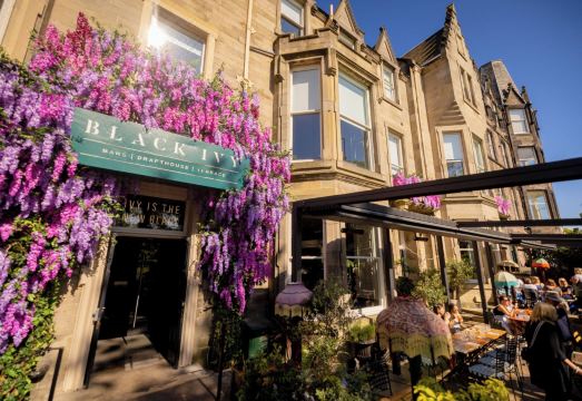 Black IvyHotel Overview